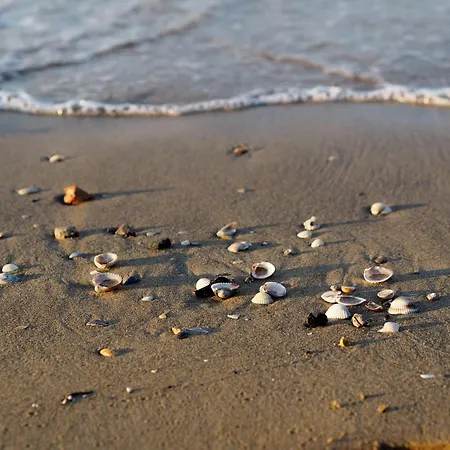 Beachside Tranquility In Our Flat In Bibione