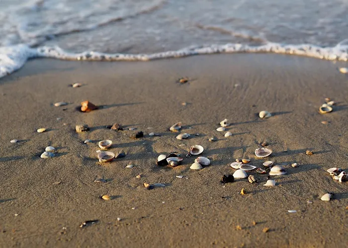 Beachside Tranquility In Our Flat In Bibione